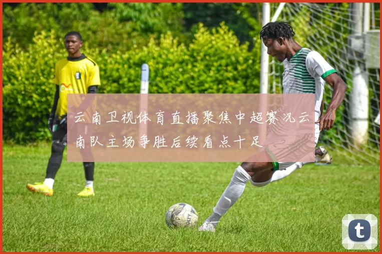 云南卫视体育直播聚焦中超赛况云南队主场争胜后续看点十足