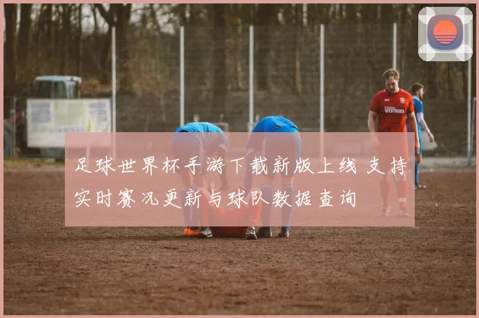 足球世界杯手游下载新版上线 支持实时赛况更新与球队数据查询