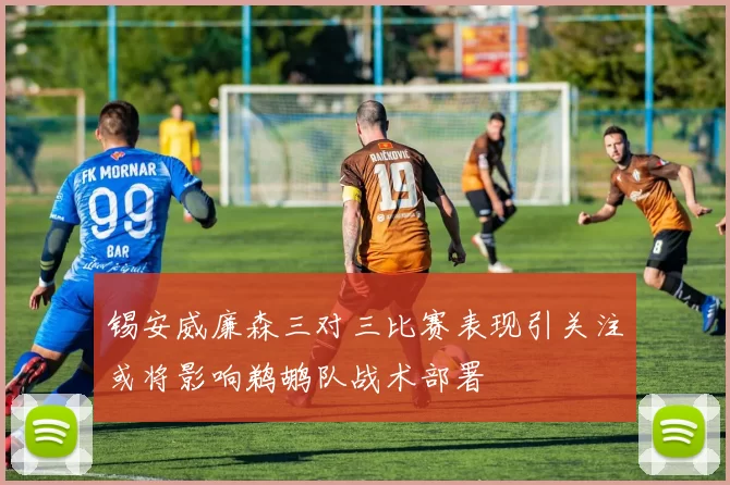 锡安威廉森三对三比赛表现引关注或将影响鹈鹕队战术部署