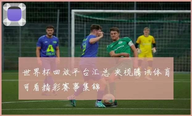 世界杯回放平台汇总 央视腾讯体育可看精彩赛事集锦